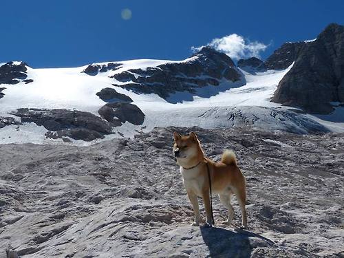 开云·体育全站登录地址-欧洲杯剧情逆转：战术变化引爆现场！，欧洲杯战记